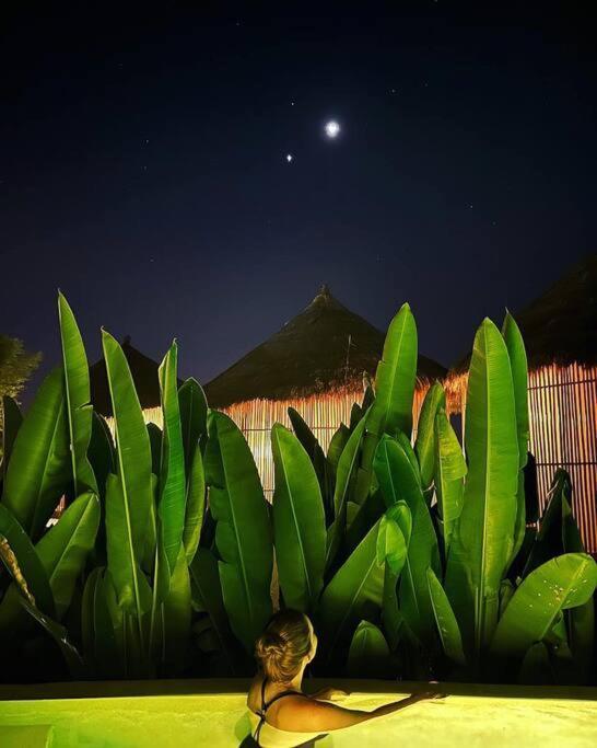 Destiny * Uluwatu